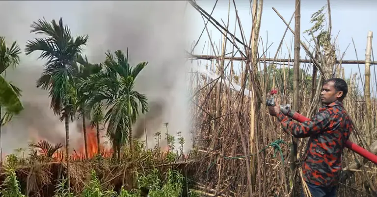 রাজশাহীর পান বরজে আগুন